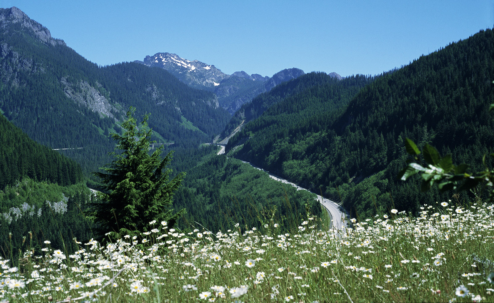 Mountains to Sound Greenway view